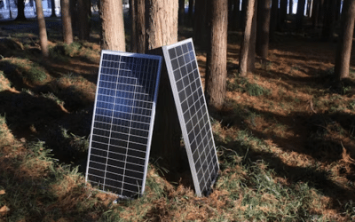 Solar panel leaning on a tree